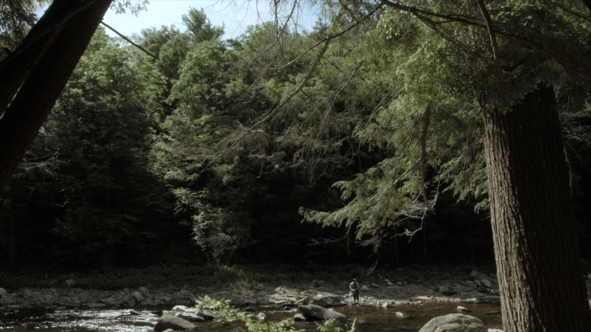 The Far Field thumbnail